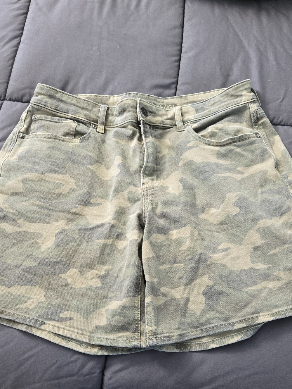 American Eagle Low Rise Baggy Short